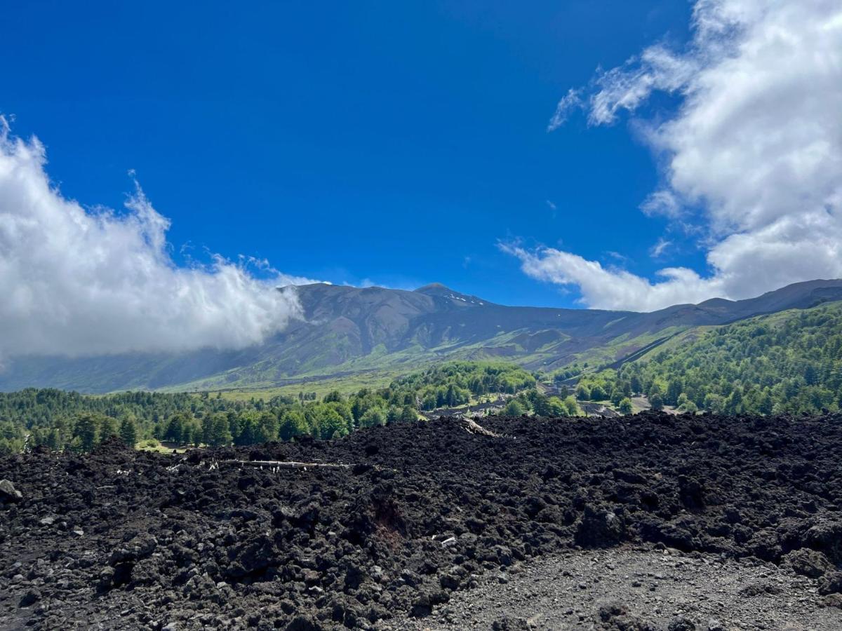 Etna City Home Accogliente Nel Cuore Di คาตาเนีย ภายนอก รูปภาพ